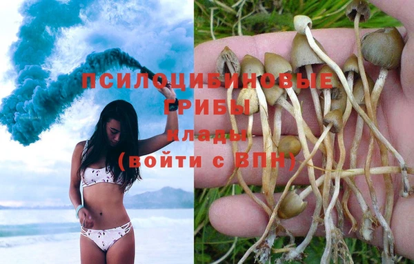 герыч Куйбышев