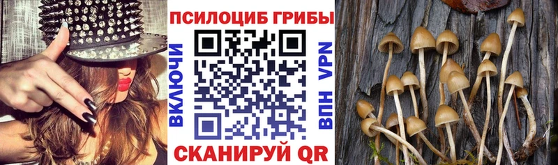 что такое   Мостовской  Псилоцибиновые грибы GOLDEN TEACHER 